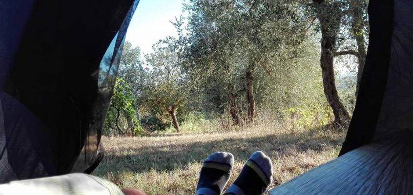 Via Francigena 13.08.2017 Gambassi Terme &ndash; San Gimignano